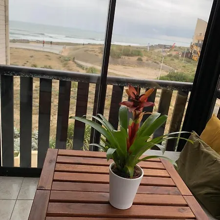 Vue Sur Mer, 30m De La Lacanau